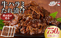 堺の技が光る牛ハラミたれ漬け　750ｇ【牛ハラミ&nbsp;タレ肉&nbsp;焼肉&nbsp;タレ漬け&nbsp;味付け肉&nbsp;冷凍食品&nbsp;人気&nbsp;おすすめ&nbsp;国産肉&nbsp;バーベキュー&nbsp;お取り寄せ&nbsp;通販&nbsp;送料無料&nbsp;ふるさと納税&nbsp;大阪&nbsp;堺市】