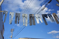 ぶどう 2025年 岡山県産 シャインマスカット 晴王 2房 約1.1kg【シャイン マスカット 葡萄 新鮮 岡山県 おすすめ 人気 種無し 皮ごと食べる フレッシュ ハレノフルーツ】