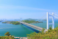 ぶどう 2025年 岡山県産 シャインマスカット 晴王 2房 約1.1kg【シャイン マスカット 葡萄 新鮮 岡山県 おすすめ 人気 種無し 皮ごと食べる フレッシュ ハレノフルーツ】