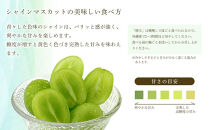 ぶどう 2025年 プレミアム シャイン マスカット 晴王 １房 約750g 【赤秀品  岡山県産 船穂産 種無し 皮ごと食べる 9月以降にお届け フレッシュ 贈答用 ハレノフルーツ】