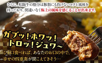 松阪牛100％ハンバーグ　８個セット