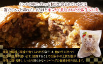 松阪牛100％ハンバーグ　１０個セット