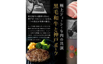 港町神戸の港ハンバーグ&nbsp;5個入り