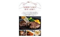 港町神戸のステーキイン肉肉ハンバーグ&nbsp;5個入り