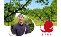 桃&nbsp;2026年&nbsp;8月発送&nbsp;ご家庭用&nbsp;岡山の&nbsp;白桃（早生、中生種）約1.3kg&nbsp;4～6玉&nbsp;もも&nbsp;モモ&nbsp;フルーツ&nbsp;果物&nbsp;岡山市&nbsp;一宮地区産&nbsp;国産&nbsp;赤木農園