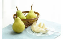 【先行受付】【2025年11月初旬頃より発送】♪ラ・フランス♪　秀品約2Kg