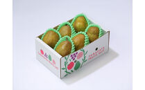 【先行受付】【2025年11月初旬頃より発送】♪ラ・フランス♪　秀品約2Kg