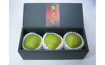 【先行受付】【2025年11月初旬頃より発送】♪大玉ラ・フランス♪　秀品7～8L　3個入り