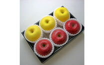 【先行受付】【2025年10月下旬頃より発送】♪りんご2種食べ比べセット♪　秀品　計約2kg