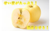 【先行受付】【2025年12月初旬頃より発送】♪りんご(はるか）♪　秀品　約2kg