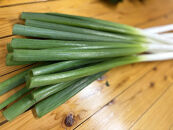 【先行予約】八雲産軟白ねぎ1kg+寒ちぢみほうれん草800gセット(2025年12月中旬以降発送開始予定)&nbsp;【&nbsp;野菜&nbsp;ネギ&nbsp;ホウレン草&nbsp;やさい&nbsp;ホウレンソウ&nbsp;葉物野菜&nbsp;北海道&nbsp;八雲町&nbsp;】