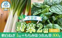 八雲産軟白ねぎ1kg+寒ちぢみほうれん草800gセット&nbsp;【&nbsp;野菜&nbsp;ネギ&nbsp;ホウレン草&nbsp;やさい&nbsp;ホウレンソウ&nbsp;葉物野菜&nbsp;北海道&nbsp;八雲町&nbsp;】