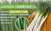 八雲産軟白ねぎ1kg+寒ちぢみほうれん草800gセット&nbsp;【&nbsp;野菜&nbsp;ネギ&nbsp;ホウレン草&nbsp;やさい&nbsp;ホウレンソウ&nbsp;葉物野菜&nbsp;北海道&nbsp;八雲町&nbsp;】