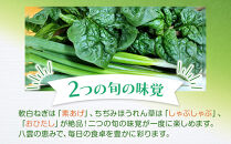 八雲産軟白ねぎ1kg+寒ちぢみほうれん草800gセット&nbsp;【&nbsp;野菜&nbsp;ネギ&nbsp;ホウレン草&nbsp;やさい&nbsp;ホウレンソウ&nbsp;葉物野菜&nbsp;北海道&nbsp;八雲町&nbsp;】