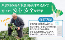八雲産軟白ねぎ1kg+寒ちぢみほうれん草800gセット&nbsp;【&nbsp;野菜&nbsp;ネギ&nbsp;ホウレン草&nbsp;やさい&nbsp;ホウレンソウ&nbsp;葉物野菜&nbsp;北海道&nbsp;八雲町&nbsp;】