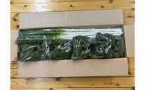 八雲産軟白ねぎ1kg+寒ちぢみほうれん草800gセット&nbsp;【&nbsp;野菜&nbsp;ネギ&nbsp;ホウレン草&nbsp;やさい&nbsp;ホウレンソウ&nbsp;葉物野菜&nbsp;北海道&nbsp;八雲町&nbsp;】