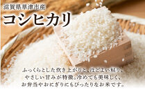 令和7年産　近江米コシヒカリ（白米）5kg×3　計15kg