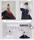 【レンタル衣装】サプライズドレス