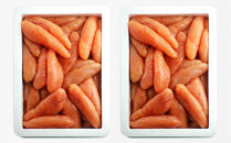 【訳あり】無着色辛子明太子1kg×2(一本物・切れ子込み)