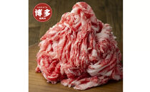 A4／A5　博多和牛　切り落とし　こま切れ　500g（250g×2）