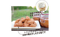 訳あり 無添加 梅干し 紀州梅香の減塩3%つぶれ梅 約1kg(500g x 2) 中~大粒 はねだし梅 紀州南高梅 産直) 3-G［KU3］