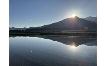 【令和7年産】南魚沼塩沢産コシヒカリ＜yusui＞5kg　白米