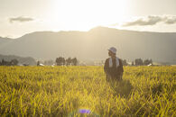 【令和7年産】南魚沼塩沢産コシヒカリ＜yusui＞5kg　白米