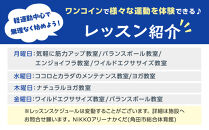 角田市総合体育館&nbsp;ワンコインレッスン回数券　11回分