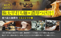 【京都・あいつのラーメンかたぐるま】うるとらつけ麺2食(塩・醤油×各1)｜京都 有名店 人気セット［ 人気店の看板ラーメン うるとらつけ麺2食セット 塩味＋醤油味 自家製麺 濃厚スープ グルメ おいしい 人気 おすすめ お取り寄せ 通販 送料無料 ふるさと納税 ］