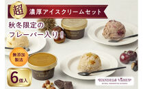 ハンデルスベーゲン&nbsp;無添加アイスクリーム&nbsp;/&nbsp;季節の６個セット【秋冬】季節限定&nbsp;フォレノワール&nbsp;ヘーゼルナッツ&nbsp;丹波栗&nbsp;ベリーバイベリー&nbsp;カナダメープル＆ダブルナッツ&nbsp;あまおう苺ミルク