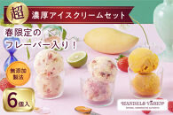 ハンデルスベーゲン&nbsp;無添加アイスクリーム&nbsp;/&nbsp;季節の６個セット【春】季節限定&nbsp;&nbsp;ミルクティーカシス&nbsp;紅ほっぺブリュレ&nbsp;2種のマンゴーと柚子のソルベ&nbsp;北海道牛乳&nbsp;マカダミアキャラメルココナッツ&nbsp;フレッシュチョコミント
