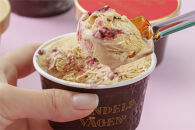 ハンデルスベーゲン&nbsp;無添加アイスクリーム&nbsp;/&nbsp;季節の６個セット【春】季節限定&nbsp;&nbsp;ミルクティーカシス&nbsp;紅ほっぺブリュレ&nbsp;2種のマンゴーと柚子のソルベ&nbsp;北海道牛乳&nbsp;マカダミアキャラメルココナッツ&nbsp;フレッシュチョコミント