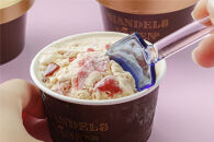 ハンデルスベーゲン&nbsp;無添加アイスクリーム&nbsp;/&nbsp;季節の６個セット【春】季節限定&nbsp;&nbsp;ミルクティーカシス&nbsp;紅ほっぺブリュレ&nbsp;2種のマンゴーと柚子のソルベ&nbsp;北海道牛乳&nbsp;マカダミアキャラメルココナッツ&nbsp;フレッシュチョコミント