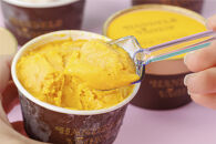 ハンデルスベーゲン&nbsp;無添加アイスクリーム&nbsp;/&nbsp;季節の６個セット【春】季節限定&nbsp;&nbsp;ミルクティーカシス&nbsp;紅ほっぺブリュレ&nbsp;2種のマンゴーと柚子のソルベ&nbsp;北海道牛乳&nbsp;マカダミアキャラメルココナッツ&nbsp;フレッシュチョコミント