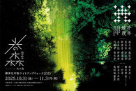博多旧市街ライトアップウォーク2025千年煌夜　エクスプレスパス引換券（11月2日優先入場）1名様分