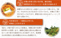 和歌山県産&nbsp;早生温州みかん&nbsp;秀品&nbsp;Sサイズ&nbsp;3kg&nbsp;[Sn1]