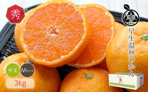 和歌山県産&nbsp;早生温州みかん&nbsp;秀品&nbsp;Mサイズ&nbsp;3kg&nbsp;[Sn2]