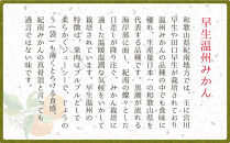 和歌山県産&nbsp;早生温州みかん&nbsp;秀品&nbsp;Lサイズ&nbsp;3kg&nbsp;[Sn3]