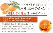 和歌山県産&nbsp;早生温州みかん&nbsp;秀品&nbsp;Lサイズ&nbsp;3kg&nbsp;[Sn3]