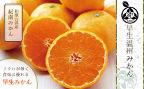 和歌山県産 早生温州みかん 秀品 Lサイズ 5kg [Sn6]