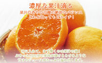 和歌山県産 早生温州みかん 秀品 Lサイズ 5kg [Sn6]