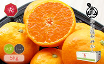 和歌山県産 早生温州みかん 秀品 Lサイズ 5kg [Sn6]