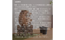 【信楽焼・明山】焼酎サーバーほろ酔いたぬき 2.2L　s10-4