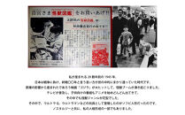 村上隆 「超弩級人造怪猿獣ZERO」 PVCフィギュア［ 京都 村上隆 カイカイキキ アーティスト 大人気 コング おしゃれ かわいい アート 現代美術 人気 おすすめ 通販 送料無料 ふるさと納税 ］