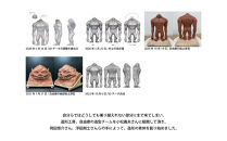 村上隆 「超弩級人造怪猿獣ZERO」 PVCフィギュア［ 京都 村上隆 カイカイキキ アーティスト 大人気 コング おしゃれ かわいい アート 現代美術 人気 おすすめ 通販 送料無料 ふるさと納税 ］