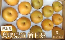 訳あり&nbsp;鳥取県産&nbsp;新甘泉&nbsp;梨&nbsp;5kg&nbsp;(10玉～15玉)｜訳あり&nbsp;梨&nbsp;なし&nbsp;新甘泉梨&nbsp;新甘泉&nbsp;5kg&nbsp;果物&nbsp;フルーツ&nbsp;ナシ&nbsp;甘い&nbsp;果汁&nbsp;和梨&nbsp;箱&nbsp;甘み&nbsp;くだもの&nbsp;国産&nbsp;果実&nbsp;鳥取県&nbsp;三朝町