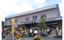 【信楽焼】白雲釉ドレッシングピッチャー 　　うつわ nwu-032　