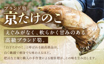 【清水農園】『京たけのこ』収穫体験＋1キロのお土産付プラン&nbsp;2026年4月19日(日)&nbsp;&nbsp;(2)13時～の部&nbsp;1名様分［&nbsp;京都&nbsp;タケノコ&nbsp;人気&nbsp;おすすめ&nbsp;親子&nbsp;ファミリー&nbsp;子供向け&nbsp;送料無料&nbsp;ふるさと納税&nbsp;］