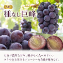 定期便&nbsp;8・9月発送&nbsp;紀州有田産旬のぶどうセット（種なし巨峰・シャインマスカット）