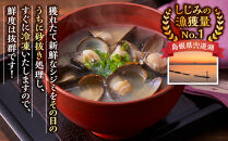 【訳あり】漁師直送！宍道湖産ヤマトシジミ・Mサイズ冷凍3.0kg